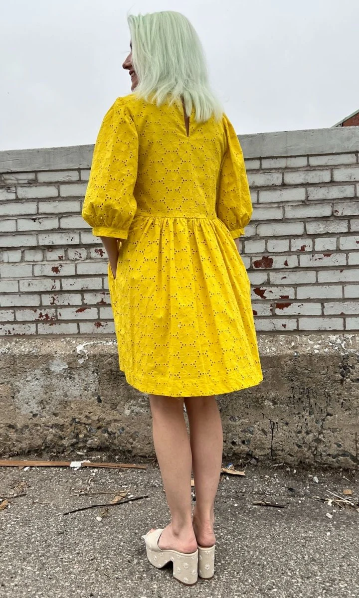 Birds of North America Bluebonnet Dress (Yuzu) - Image 11