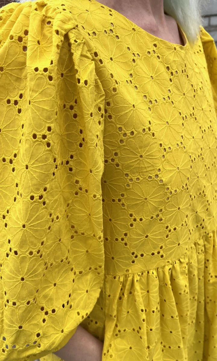 Birds of North America Bluebonnet Dress (Yuzu) - Image 12