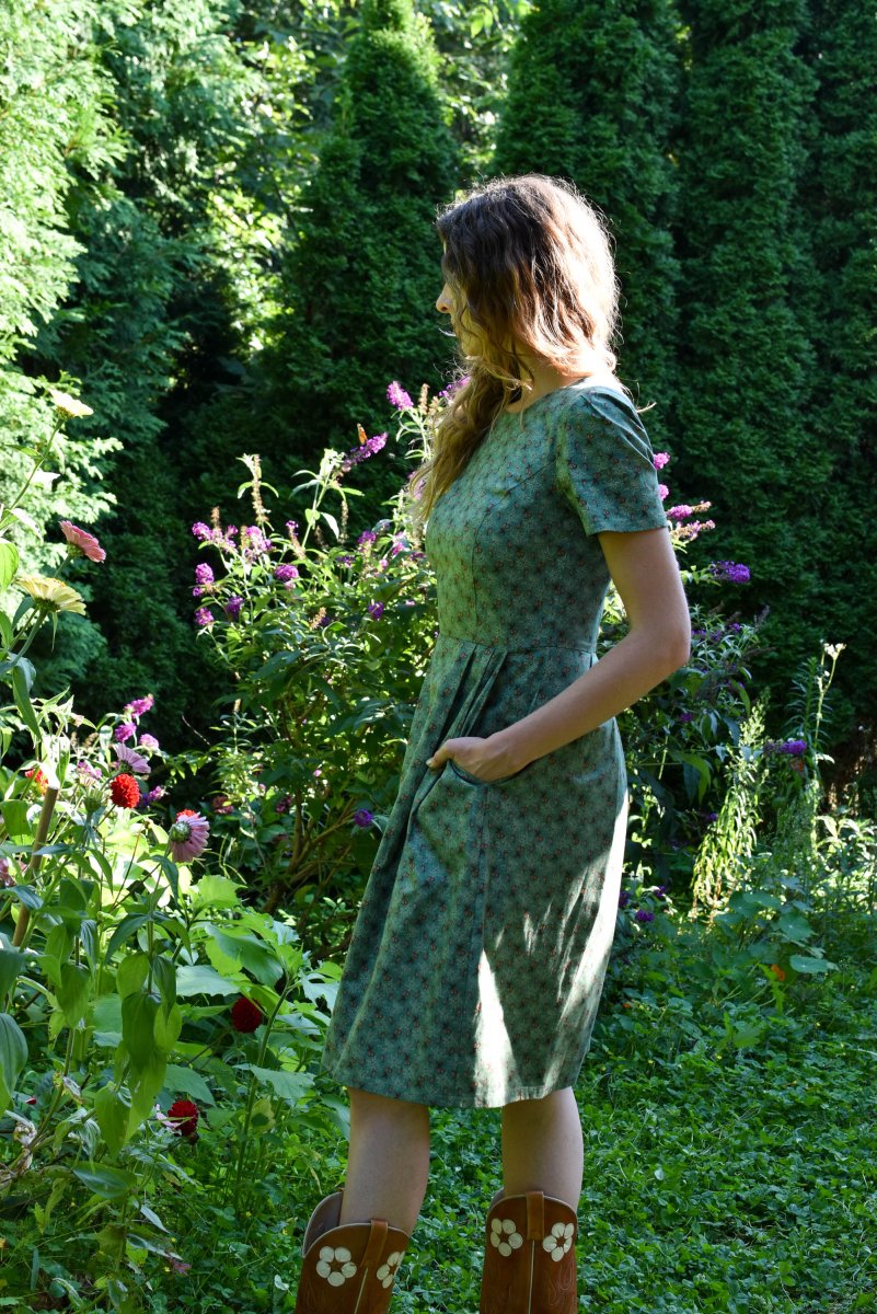 Birds of North America Buttonquail Dress - Pears of Wrath (Online Exclusive) - Image 5