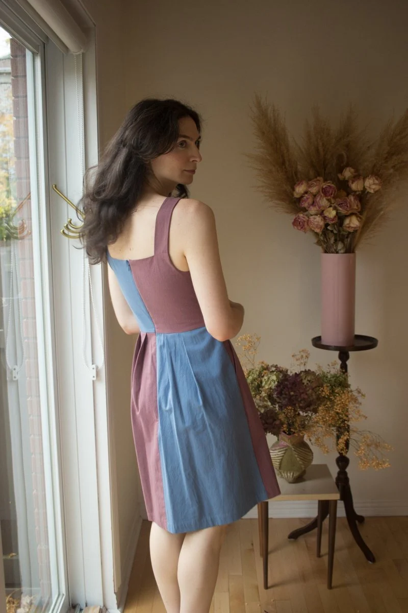 Birds of North America Bronzewing Dress - Shoreline (Online Exclusive) - Image 2