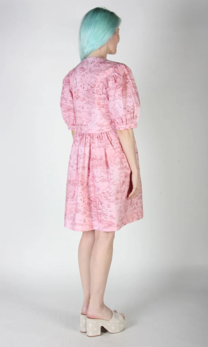 Birds of North America Corvid Dress (Morning Pastoral) - Image 8