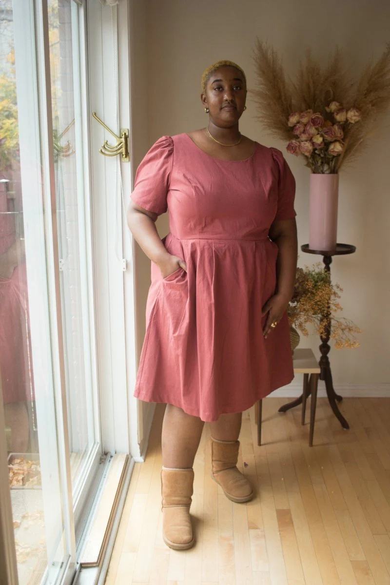 Birds of North America Crag Martin Dress (Rosewood)