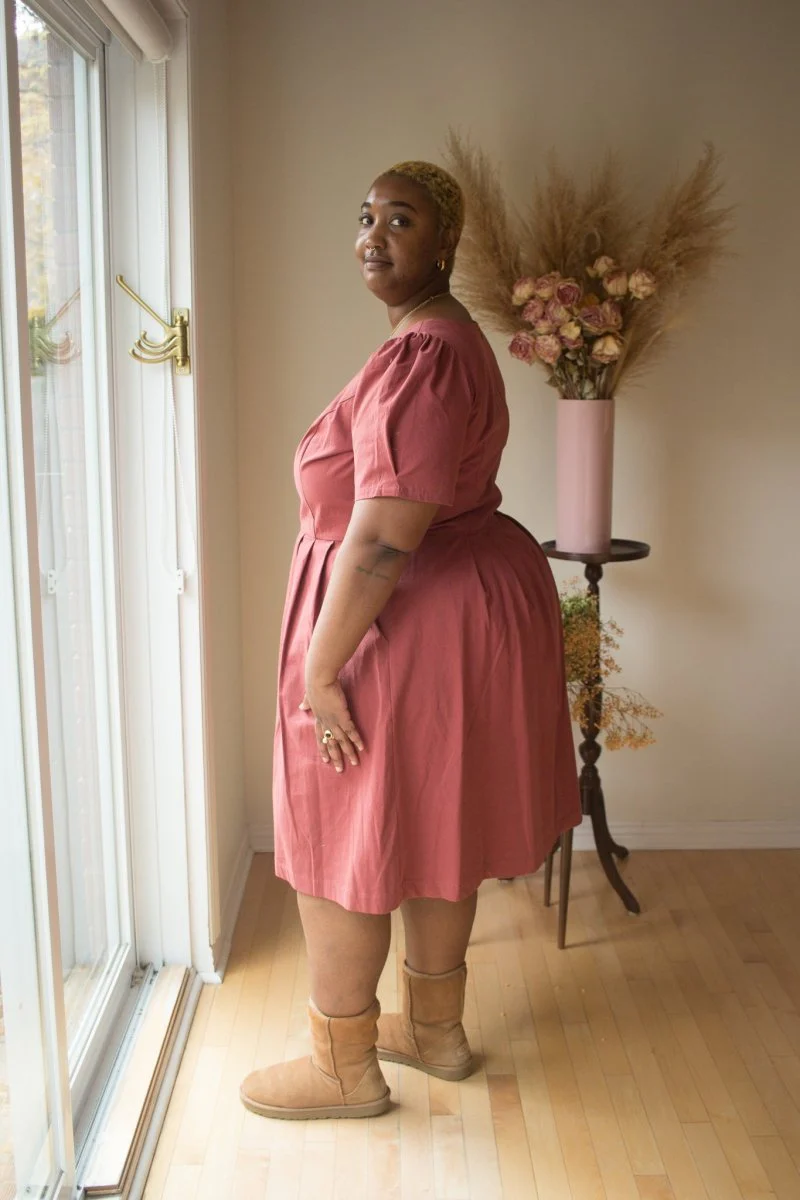 Birds of North America Crag Martin Dress (Rosewood) - Image 3