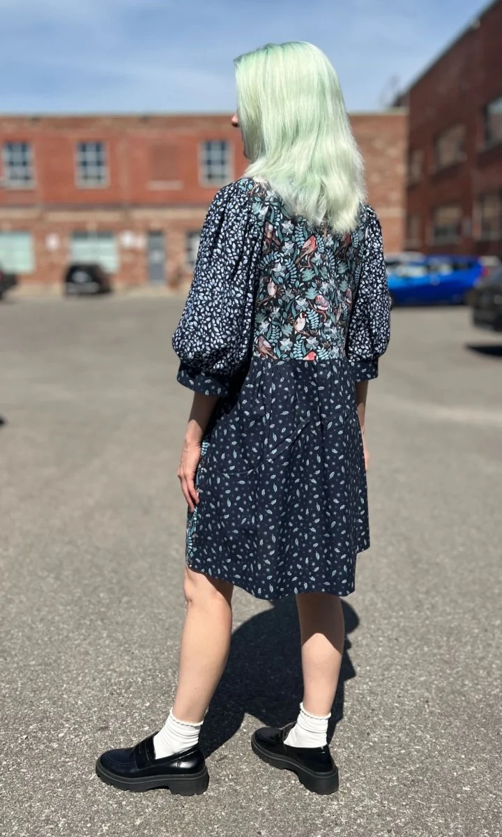 Birds of North America Fairywren Dress - Nest Friends (Online Exclusive) - Image 18