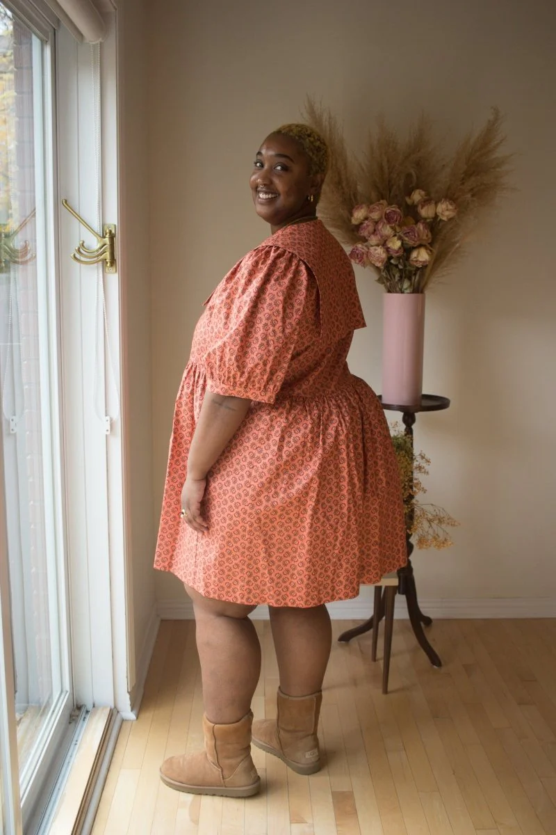 Birds of North America Fieldfare Dress - Berry Sheaf (Online Exclusive) - Image 3