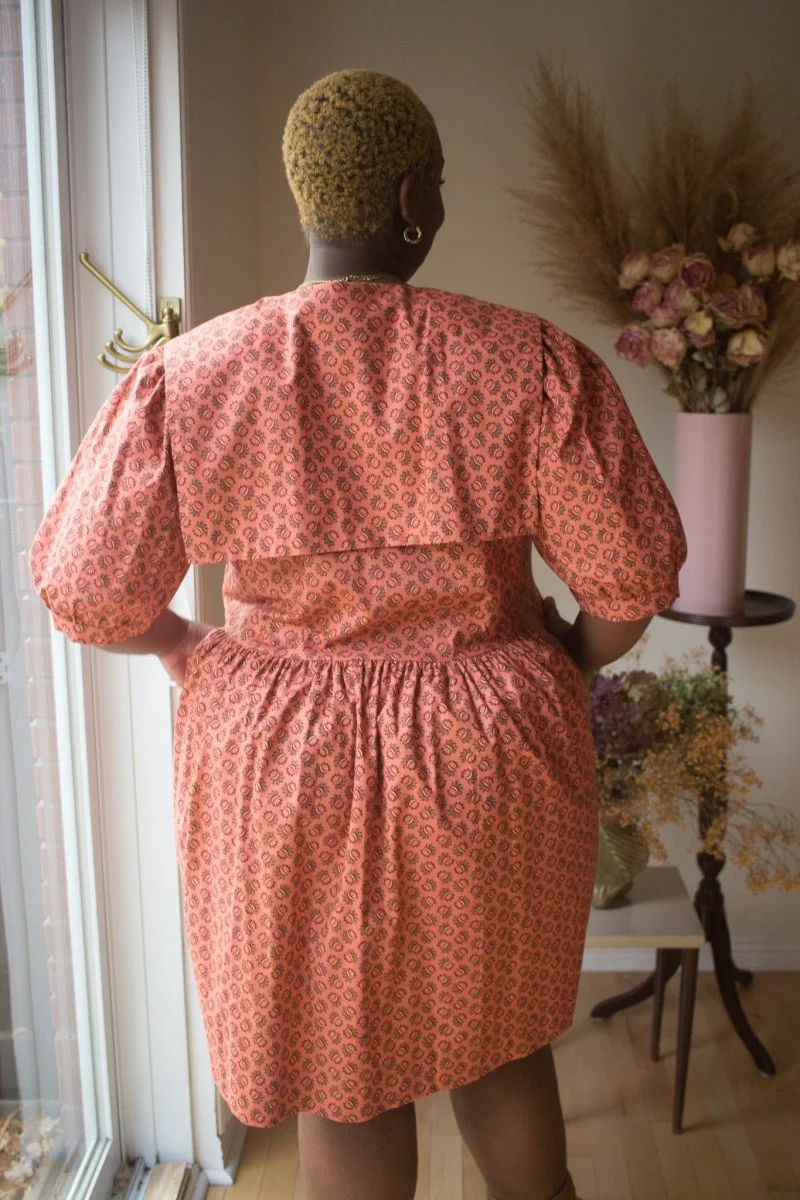 Birds of North America Fieldfare Dress - Berry Sheaf (Online Exclusive) - Image 4