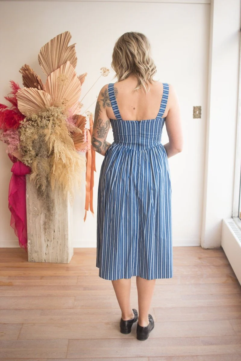 Birds of North America Heathwren Dress (ZigZag) - Image 4