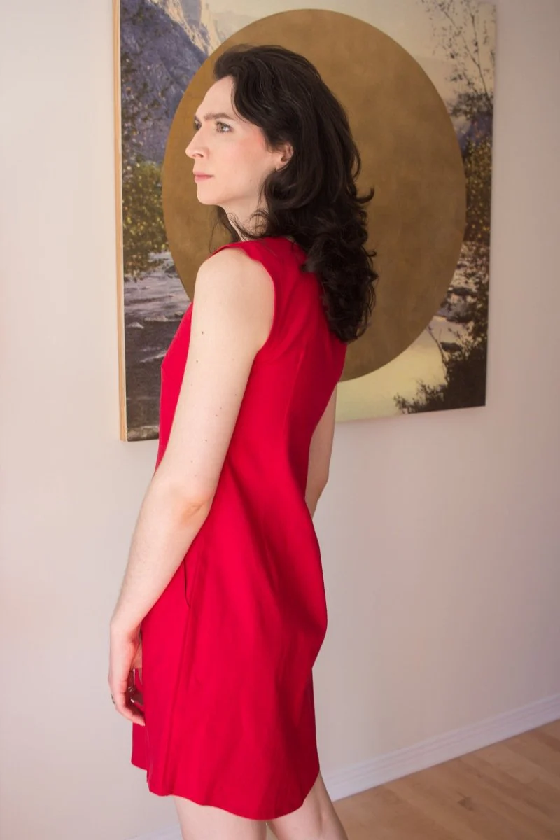 Birds of North America Honeycreeper Dress - Red (Online Exclusive) - Image 2
