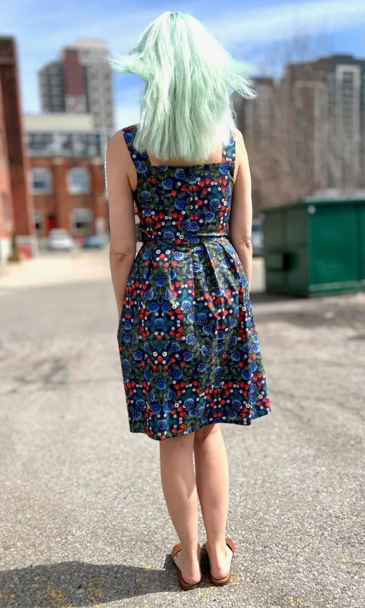 Birds of North America Myrmidon Dress (Summer Sweetness) - Image 12