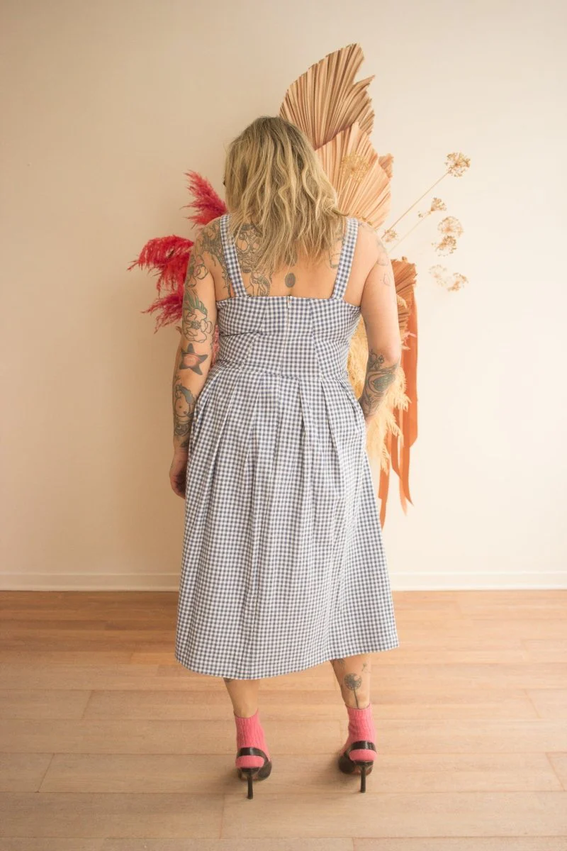 Birds of North America Sparrow Hawk Dress (Blue Gingham) - Image 4