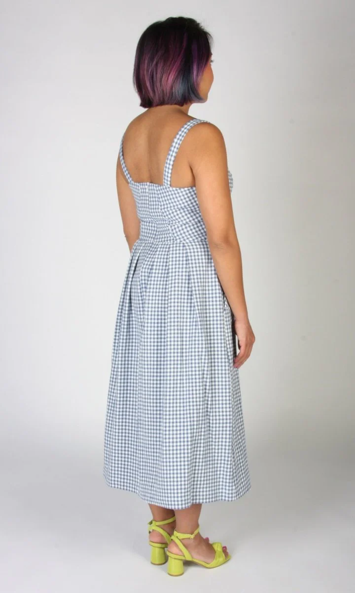 Birds of North America Sparrow Hawk Dress (Blue Gingham) - Image 7