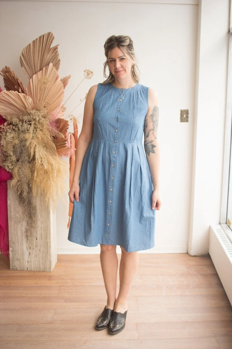 Birds of North America Thunder Pumper Dress (Medium Wash)
