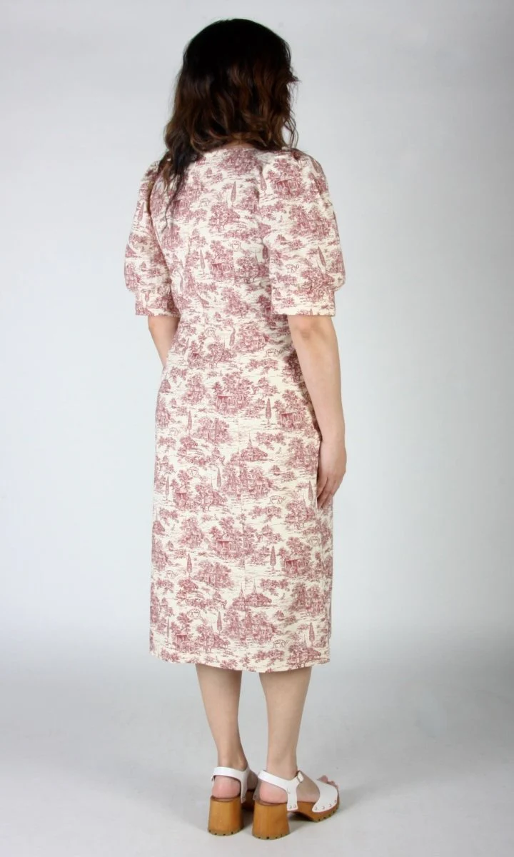 Birds of North America Veery Dress - Brick Village Toile (Online Exclusive) - Image 15