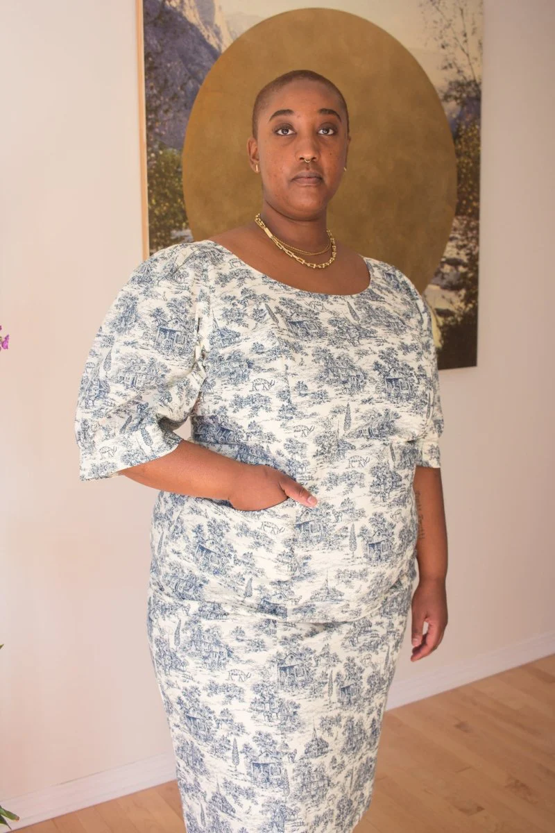 Birds of North America Veery Dress - Navy Village Toile (Online Exclusive)