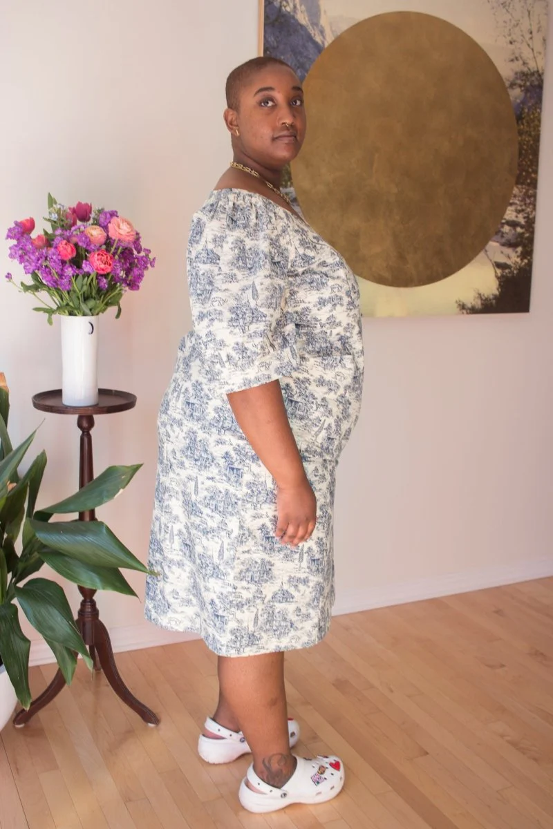 Birds of North America Veery Dress - Navy Village Toile (Online Exclusive) - Image 2