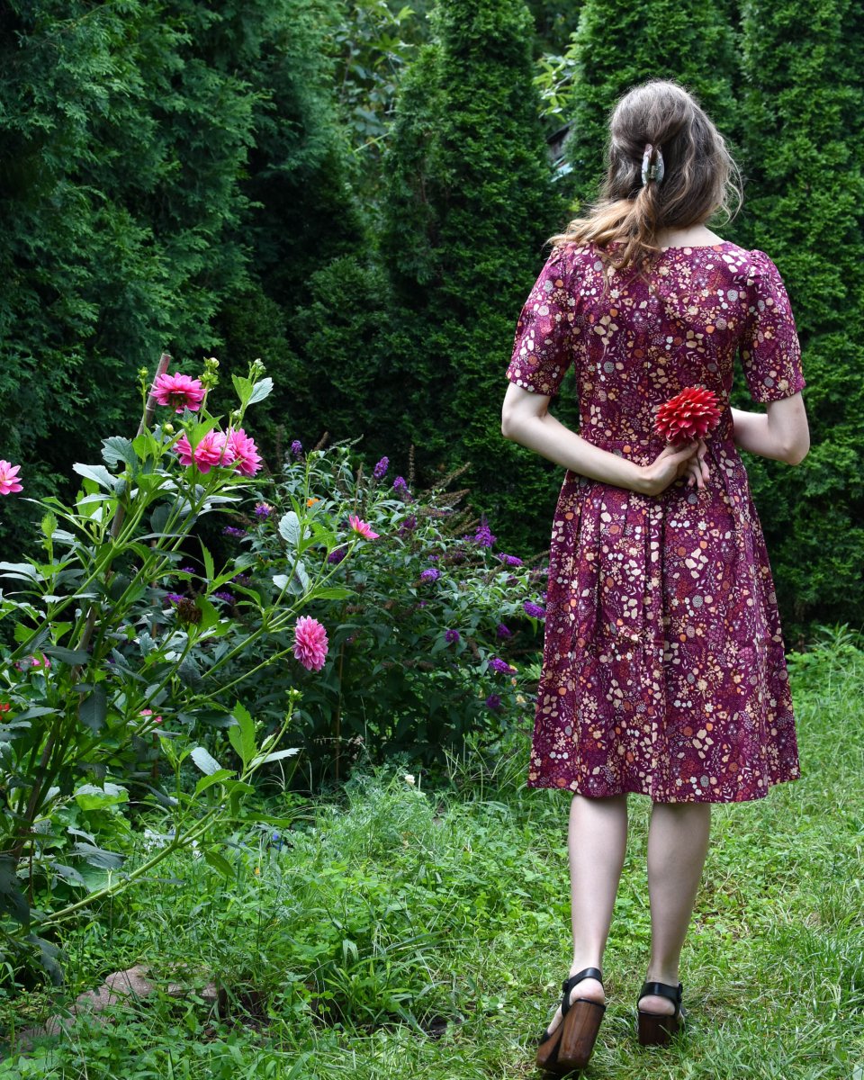 Birds of North America Winter Chippy Dress - Keepsake (Online Exclusive) - Image 5