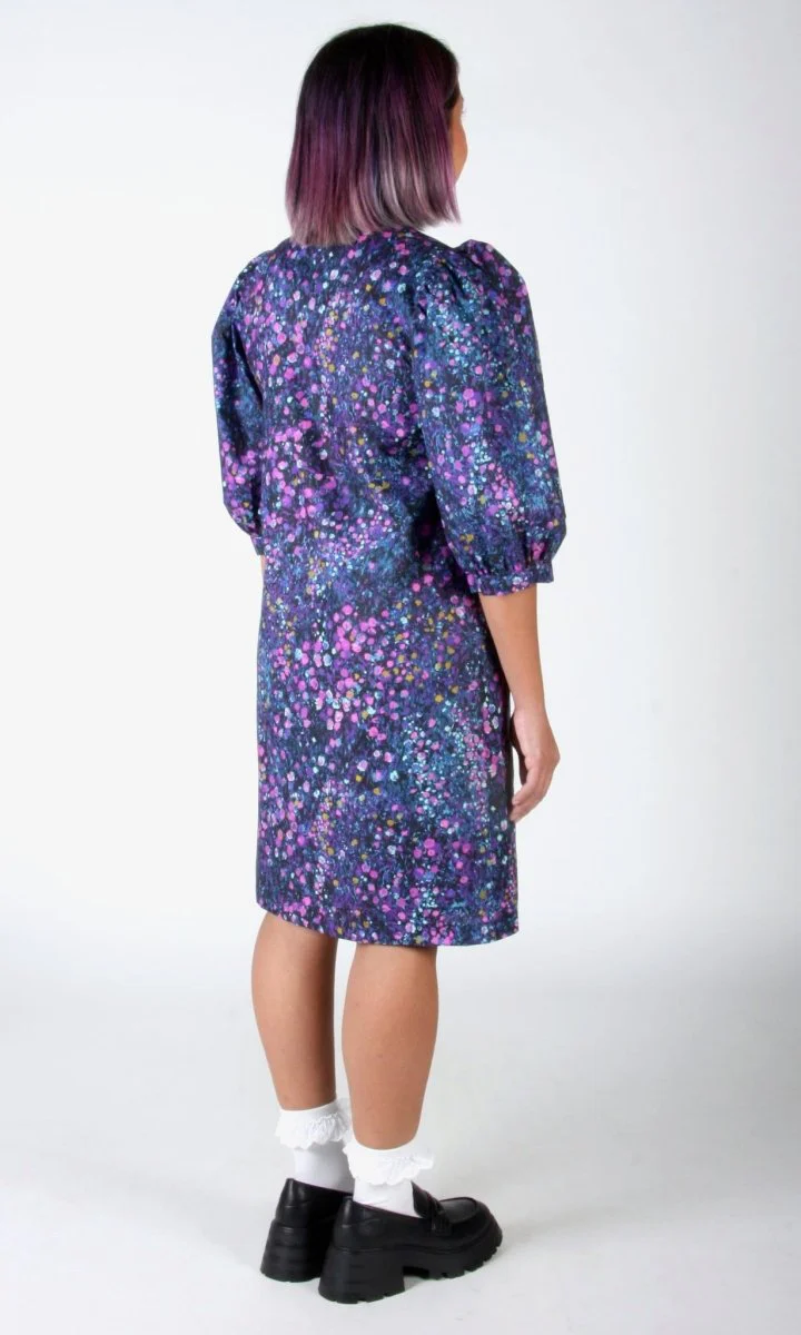 Birds of North America Casiornis Dress (Nightfall) - Image 15
