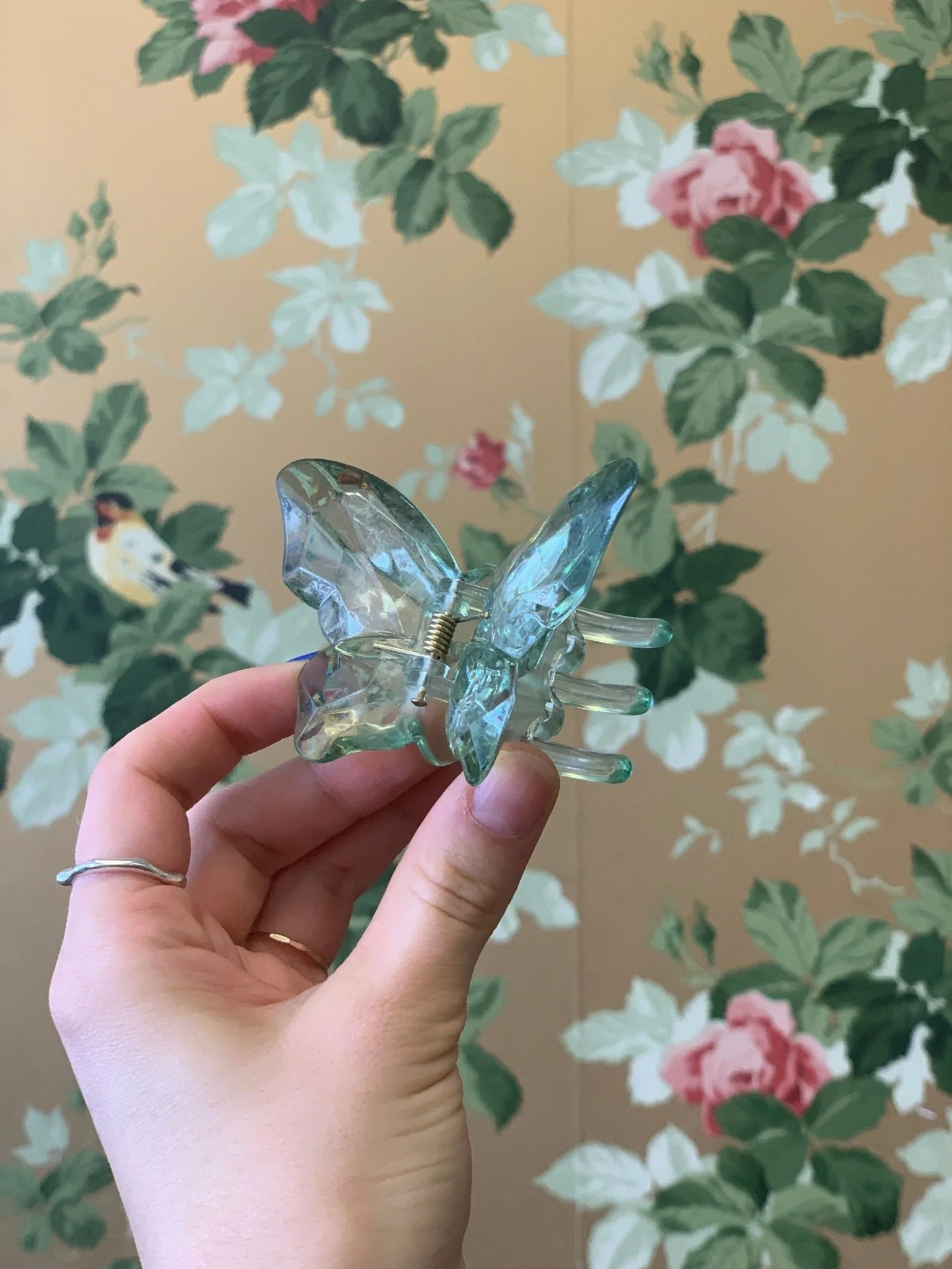 Eugenia Chan Butterfly Claw (Many Colors)