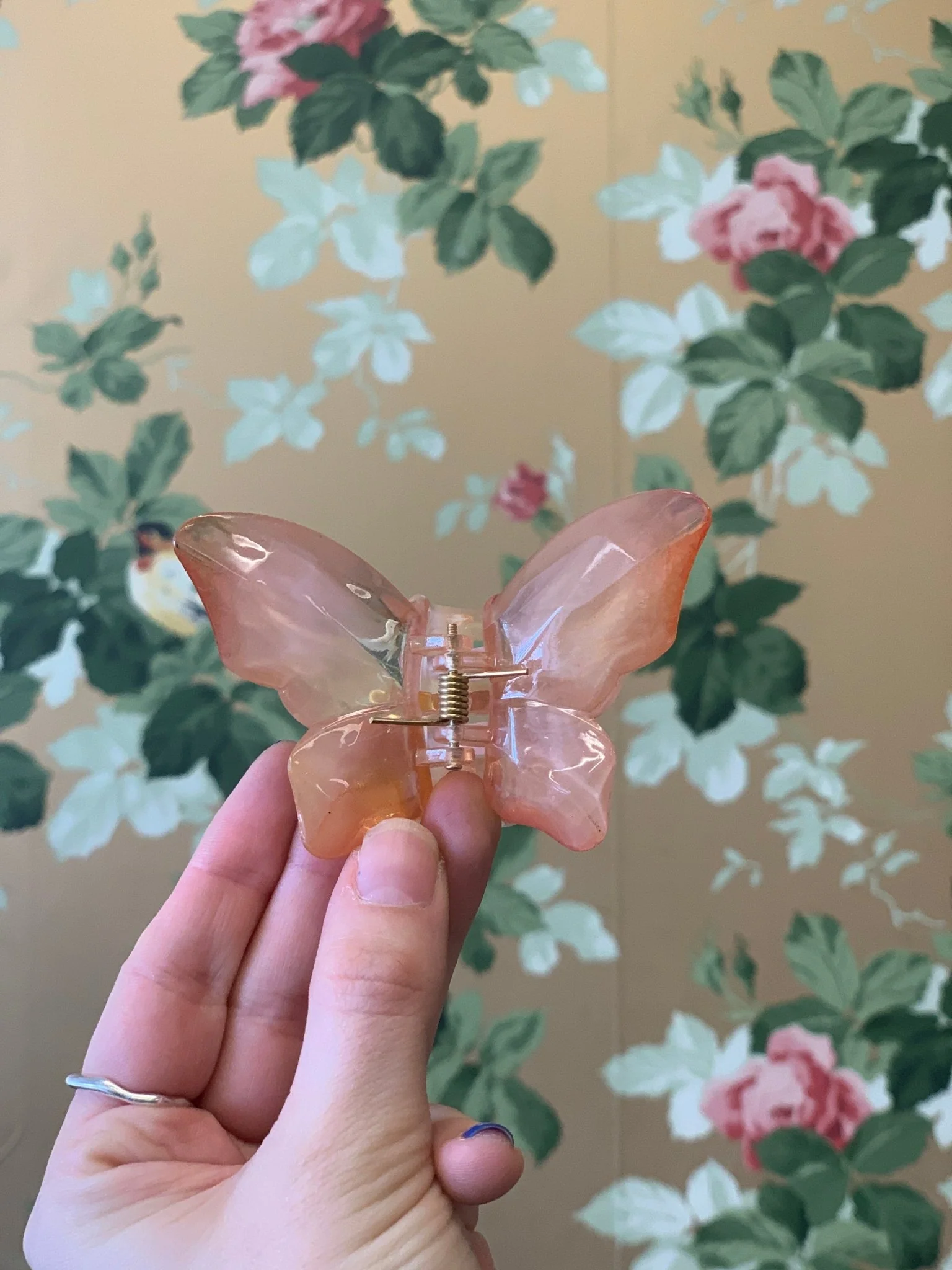 Eugenia Chan Butterfly Claw (Many Colors) - Image 3
