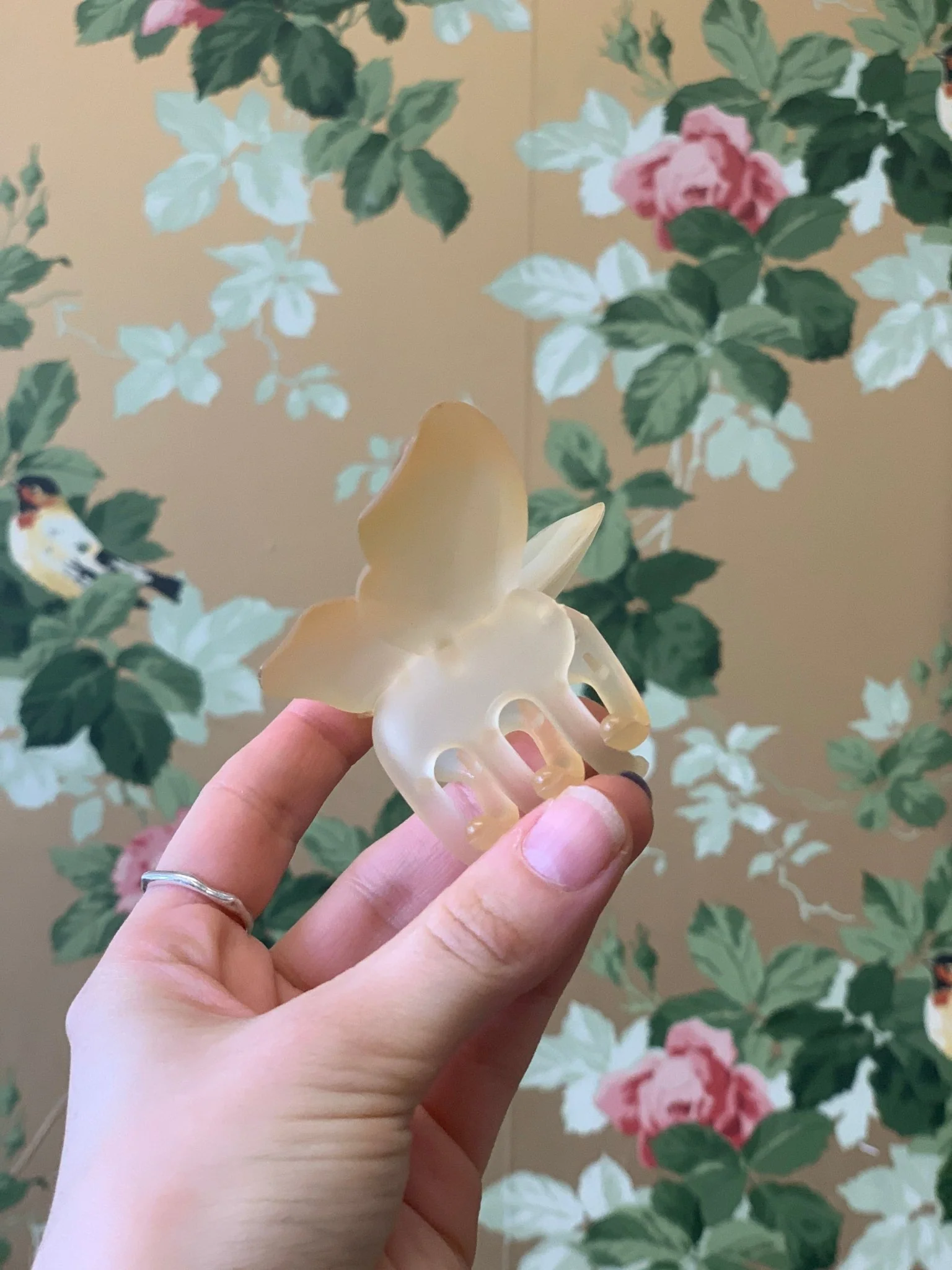 Eugenia Chan Butterfly Claw (Many Colors) - Image 6