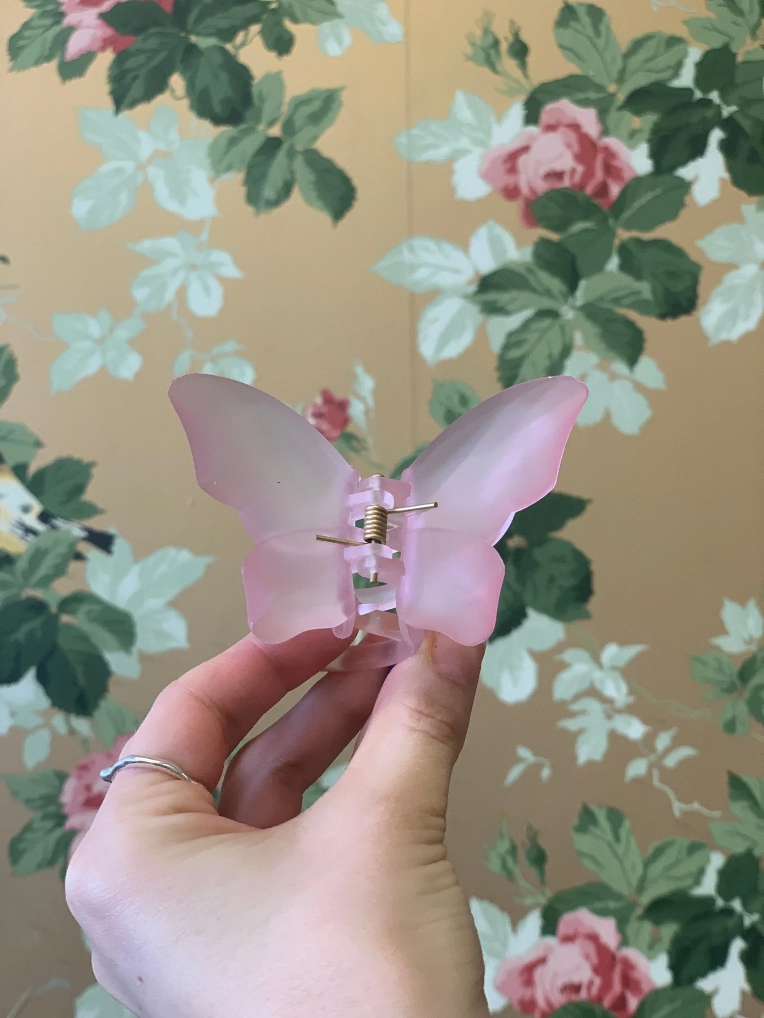 Eugenia Chan Butterfly Claw (Many Colors) - Image 7
