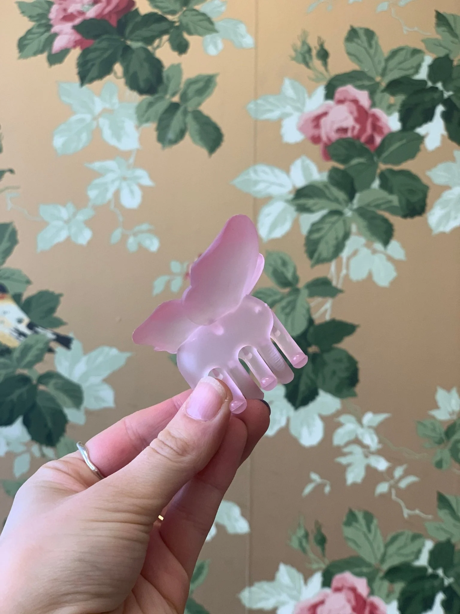 Eugenia Chan Butterfly Claw (Many Colors) - Image 8