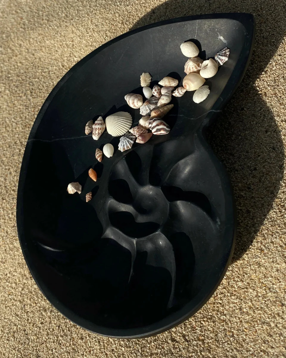 Foe & Dear Nautilus Keepsake Dish (Various Colours) - Image 15