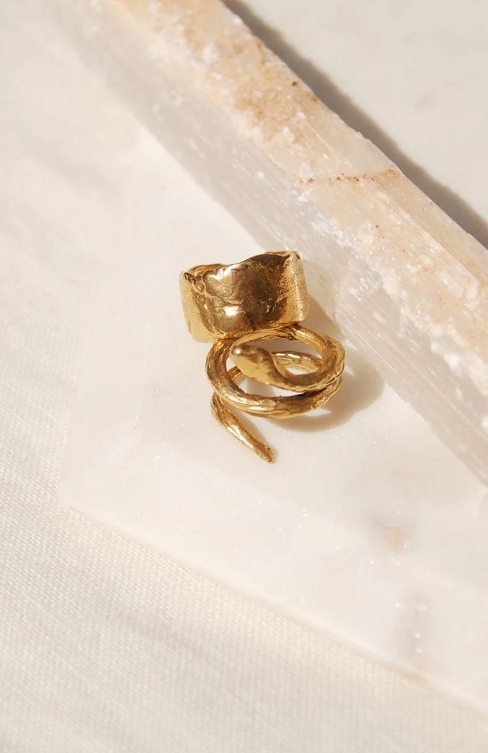 Hawkly Serpent Ring (Bronze or Silver) - Image 3