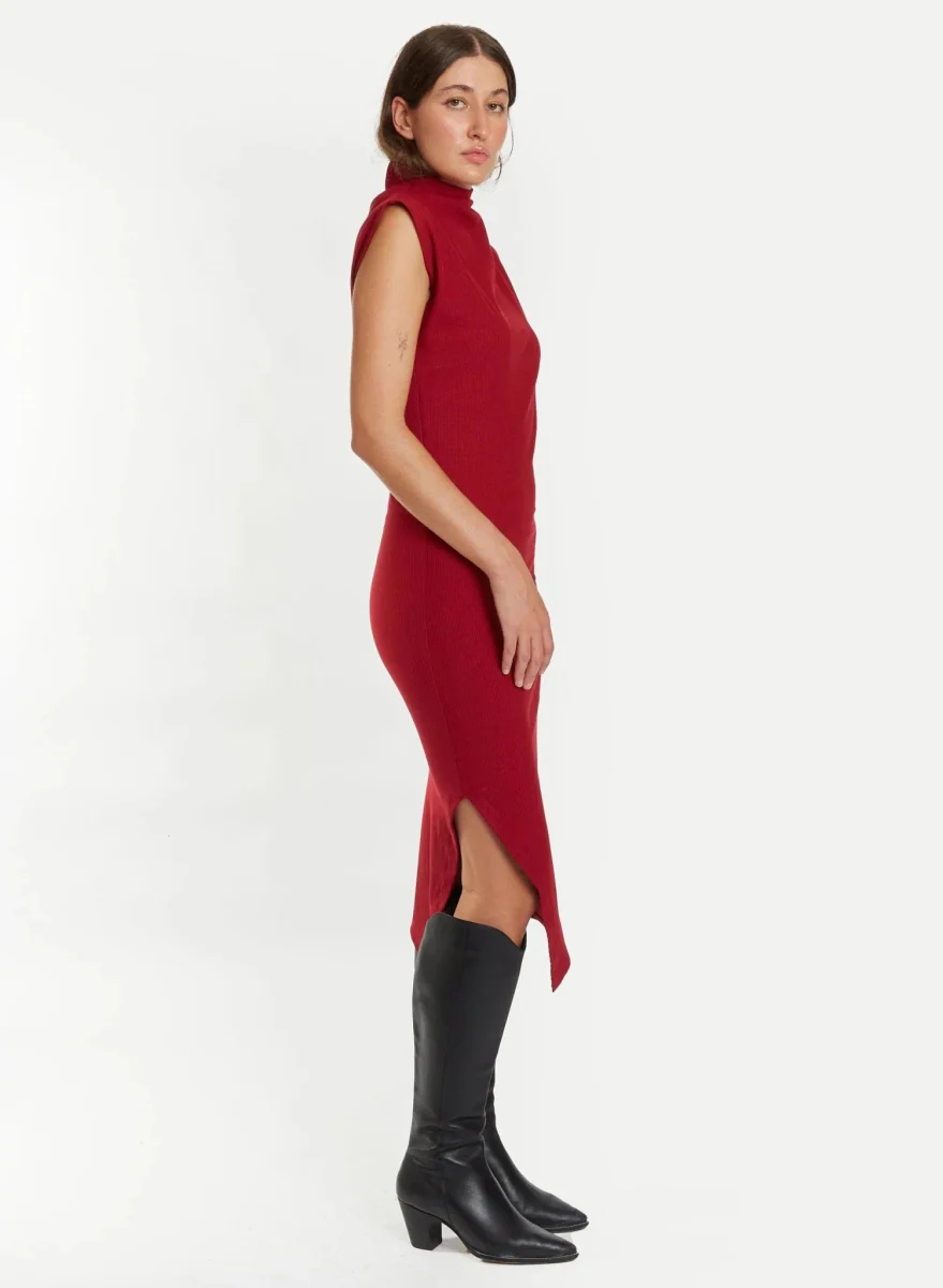 Meg Skinny Dress (Burgundy) - Image 14