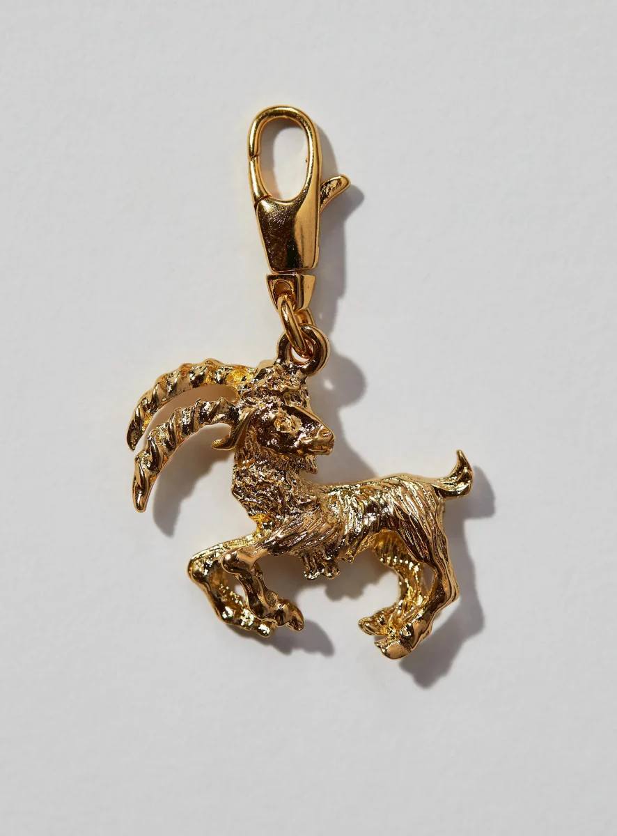Par Ici Zodiac Bracelet - Choose Your Sign - (Online Exclusive) - Image 30