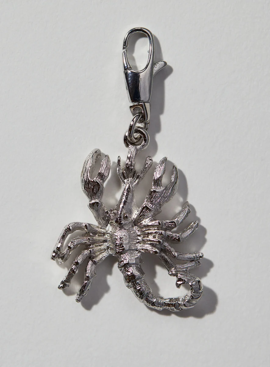 Par Ici Zodiac Charms - Choose Your Sign - (Online Exclusive) - Image 22