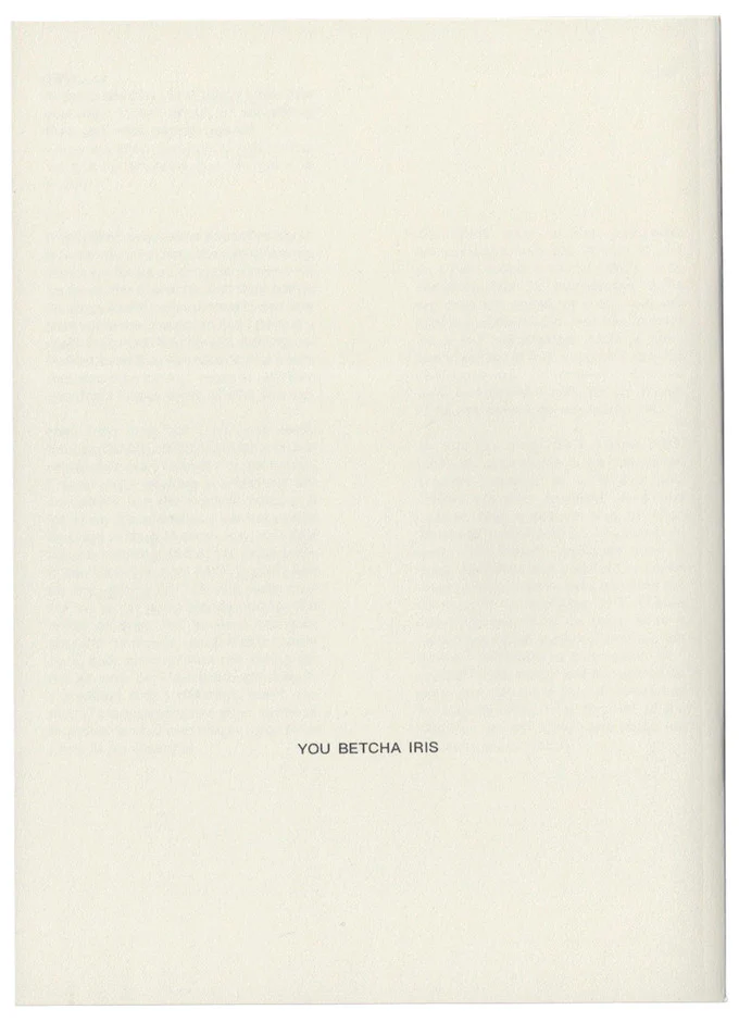 You Betcha Iris Zine Vol. 2 (Lizzy Strange) - Image 6